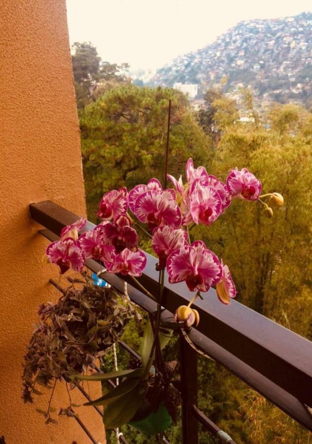 Courtyards Peak-Corner Pinestay - At Goshenland Baguio Baguio City Kültér fotó
